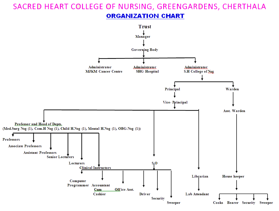 organogram chart